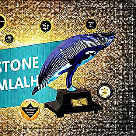 RBNZ cắn răng tăng lãi suất nhưng nói 'đừng lo' – Crypto sắp có sóng hay sập? RBNZ cắn răng tăng lãi suất nhưng nói 'đừng lo' – Crypto sắp có sóng hay sập?
